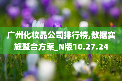 广州化妆品公司排行榜,数据实施整合方案_N版10.27.24