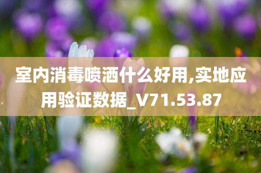 室内消毒喷洒什么好用,实地应用验证数据_V71.53.87