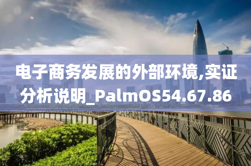 电子商务发展的外部环境,实证分析说明_PalmOS54.67.86