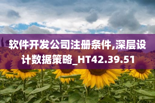 软件开发公司注册条件,深层设计数据策略_HT42.39.51