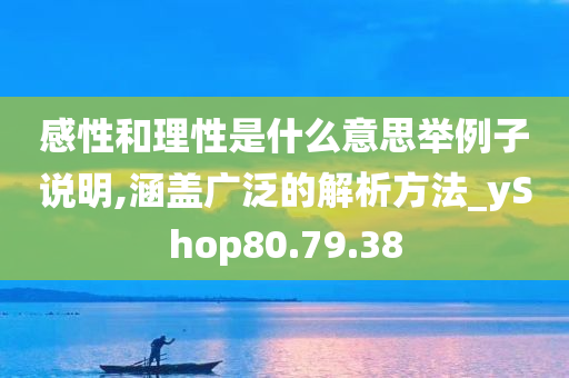 感性和理性是什么意思举例子说明,涵盖广泛的解析方法_yShop80.79.38