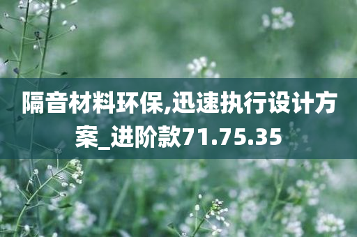 隔音材料环保,迅速执行设计方案_进阶款71.75.35