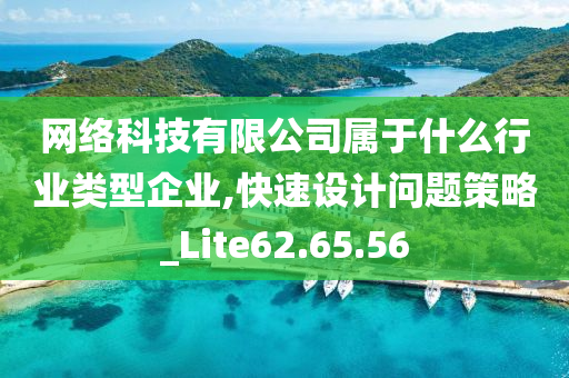 网络科技有限公司属于什么行业类型企业,快速设计问题策略_Lite62.65.56