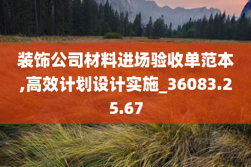 装饰公司材料进场验收单范本,高效计划设计实施_36083.25.67