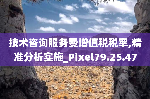 技术咨询服务费增值税税率,精准分析实施_Pixel79.25.47