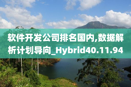 软件开发公司排名国内,数据解析计划导向_Hybrid40.11.94