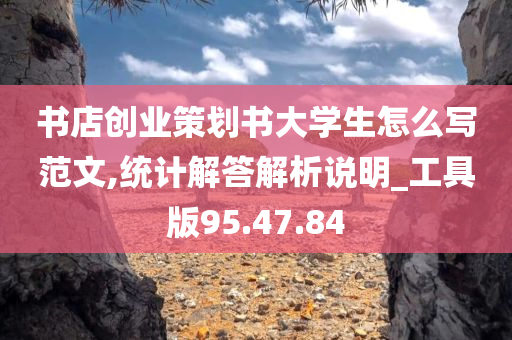 书店创业策划书大学生怎么写范文,统计解答解析说明_工具版95.47.84