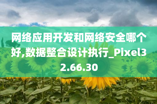 网络应用开发和网络安全哪个好,数据整合设计执行_Pixel32.66.30