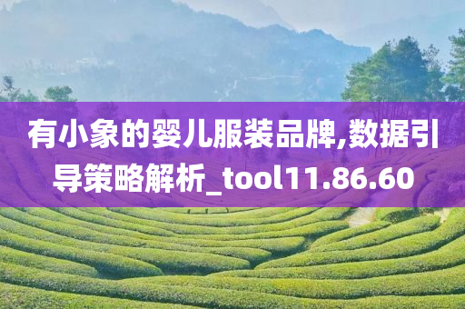 有小象的婴儿服装品牌,数据引导策略解析_tool11.86.60