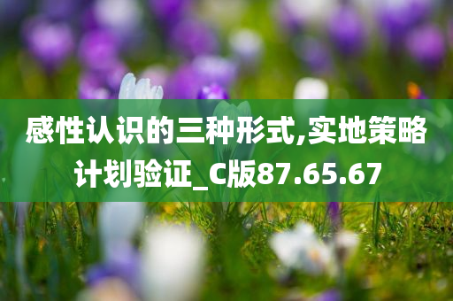 感性认识的三种形式,实地策略计划验证_C版87.65.67