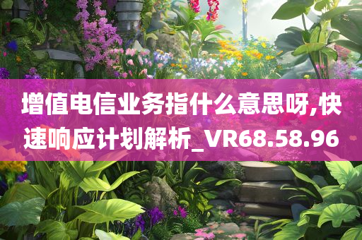 增值电信业务指什么意思呀,快速响应计划解析_VR68.58.96