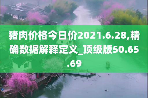 猪肉价格今日价2021.6.28,精确数据解释定义_顶级版50.65.69