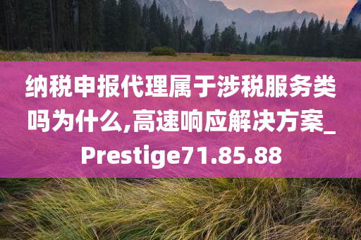 纳税申报代理属于涉税服务类吗为什么,高速响应解决方案_Prestige71.85.88