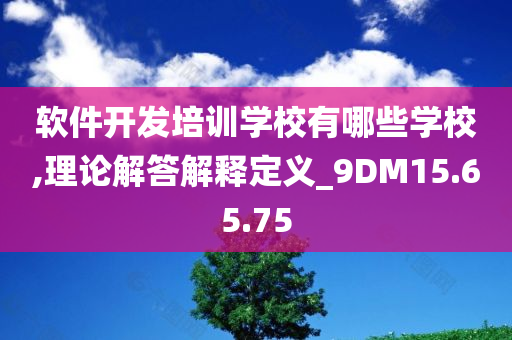 软件开发培训学校有哪些学校,理论解答解释定义_9DM15.65.75