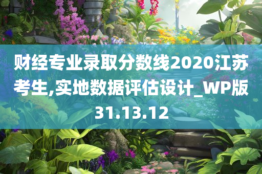 财经专业录取分数线2020江苏考生,实地数据评估设计_WP版31.13.12