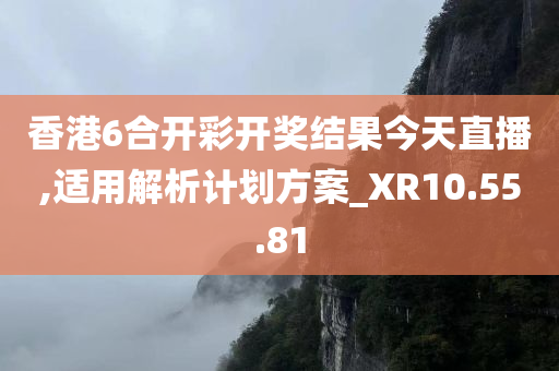 香港6合开彩开奖结果今天直播,适用解析计划方案_XR10.55.81