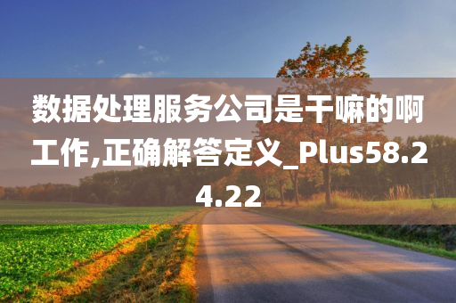 数据处理服务公司是干嘛的啊工作,正确解答定义_Plus58.24.22