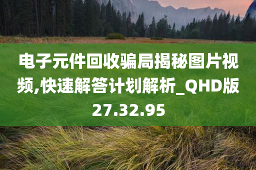 电子元件回收骗局揭秘图片视频,快速解答计划解析_QHD版27.32.95