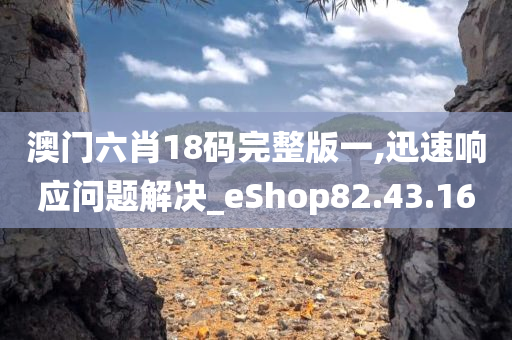 澳门六肖18码完整版一,迅速响应问题解决_eShop82.43.16