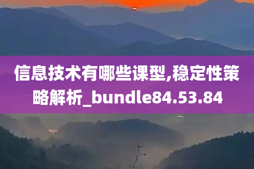 信息技术有哪些课型,稳定性策略解析_bundle84.53.84