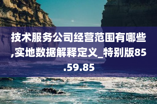 技术服务公司经营范围有哪些,实地数据解释定义_特别版85.59.85