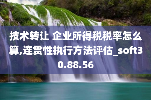 技术转让 企业所得税税率怎么算,连贯性执行方法评估_soft30.88.56