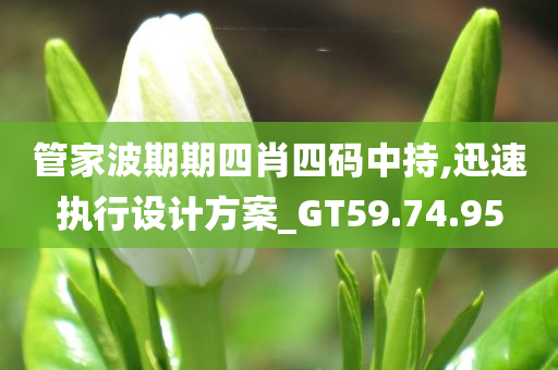 管家波期期四肖四码中持,迅速执行设计方案_GT59.74.95