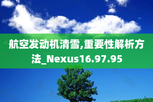 航空发动机清雪,重要性解析方法_Nexus16.97.95