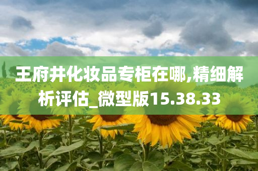 王府井化妆品专柜在哪,精细解析评估_微型版15.38.33