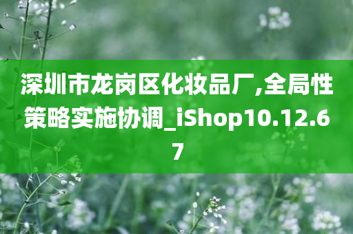 深圳市龙岗区化妆品厂,全局性策略实施协调_iShop10.12.67