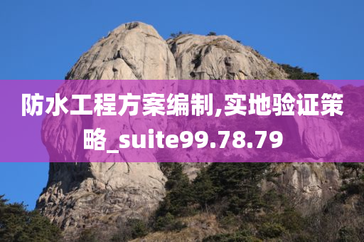 防水工程方案编制,实地验证策略_suite99.78.79