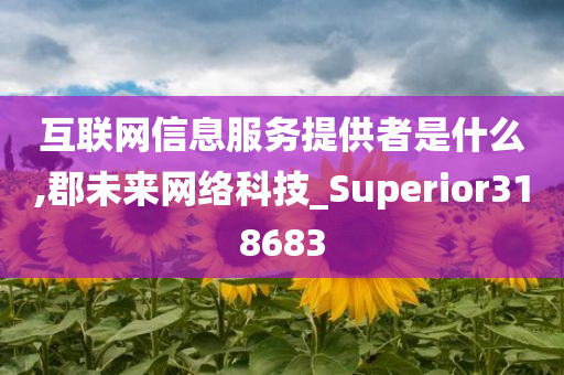 互联网信息服务提供者是什么,郡未来网络科技_Superior318683