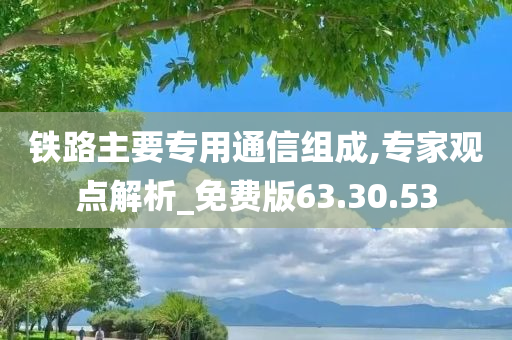 铁路主要专用通信组成,专家观点解析_免费版63.30.53