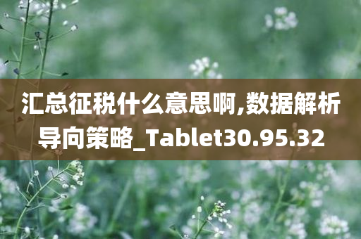 汇总征税什么意思啊,数据解析导向策略_Tablet30.95.32