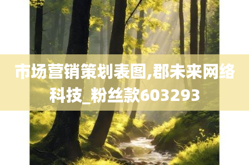 市场营销策划表图,郡未来网络科技_粉丝款603293