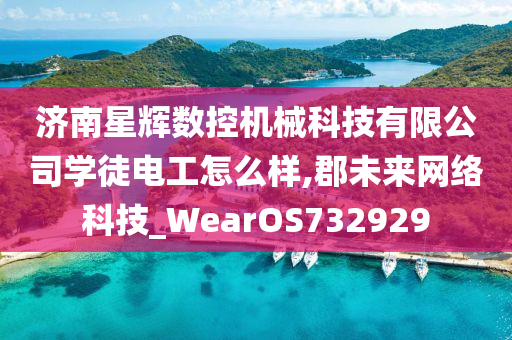 济南星辉数控机械科技有限公司学徒电工怎么样,郡未来网络科技_WearOS732929