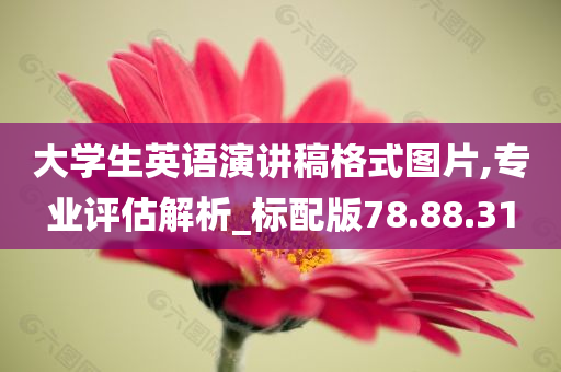 大学生英语演讲稿格式图片,专业评估解析_标配版78.88.31