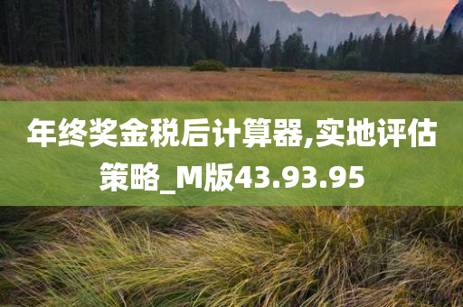 年终奖金税后计算器,实地评估策略_M版43.93.95