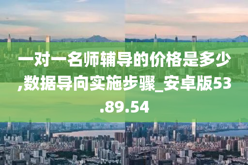 一对一名师辅导的价格是多少,数据导向实施步骤_安卓版53.89.54