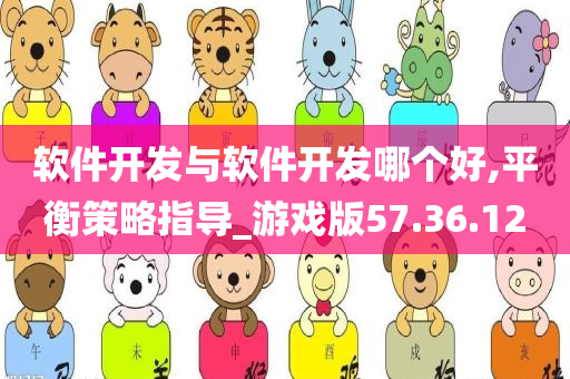 软件开发与软件开发哪个好,平衡策略指导_游戏版57.36.12