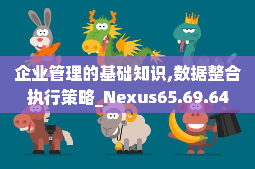 企业管理的基础知识,数据整合执行策略_Nexus65.69.64