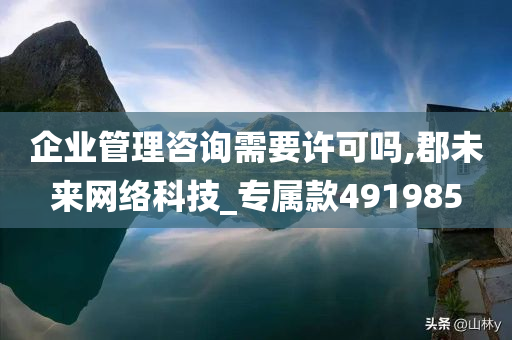 企业管理咨询需要许可吗,郡未来网络科技_专属款491985