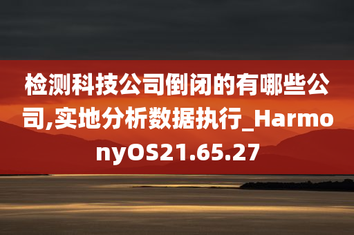 检测科技公司倒闭的有哪些公司,实地分析数据执行_HarmonyOS21.65.27