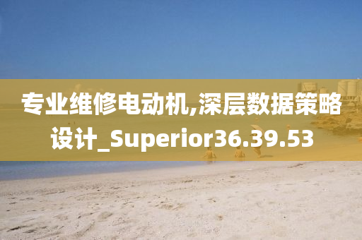 专业维修电动机,深层数据策略设计_Superior36.39.53