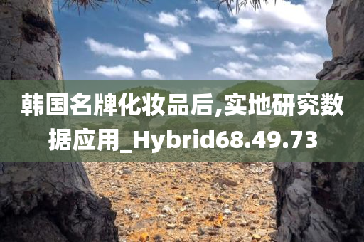 韩国名牌化妆品后,实地研究数据应用_Hybrid68.49.73