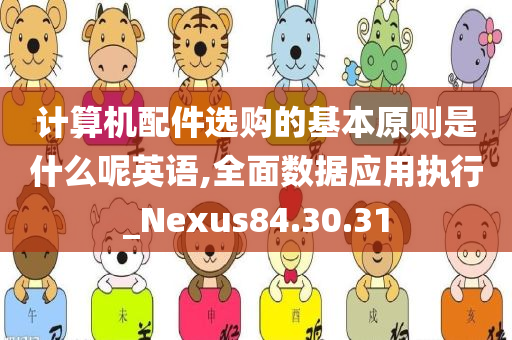 计算机配件选购的基本原则是什么呢英语,全面数据应用执行_Nexus84.30.31