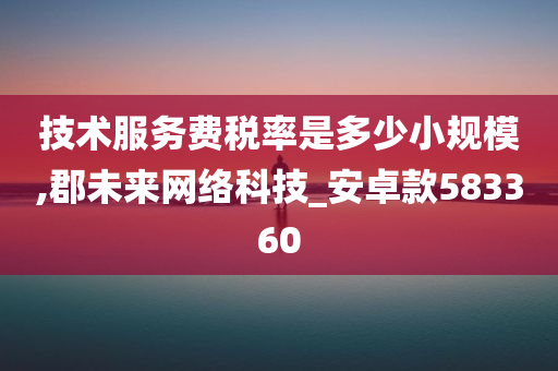 技术服务费税率是多少小规模,郡未来网络科技_安卓款583360