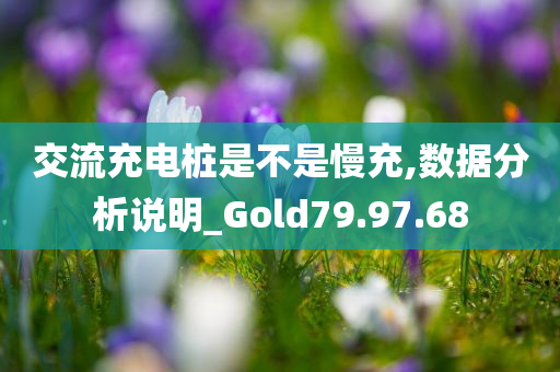 交流充电桩是不是慢充,数据分析说明_Gold79.97.68