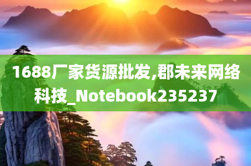 1688厂家货源批发,郡未来网络科技_Notebook235237