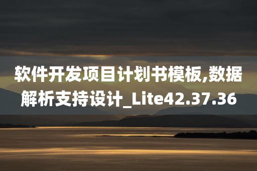 软件开发项目计划书模板,数据解析支持设计_Lite42.37.36